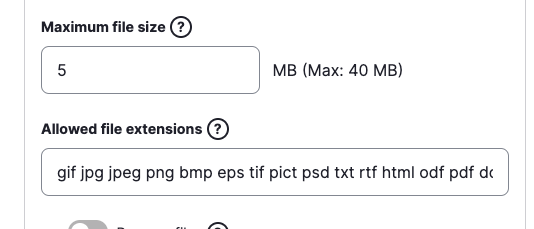 File field maximum size