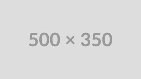 500x350.png