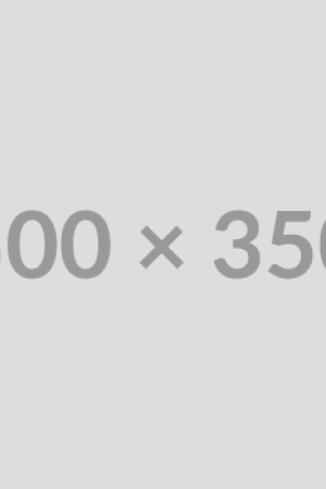 500x350.png